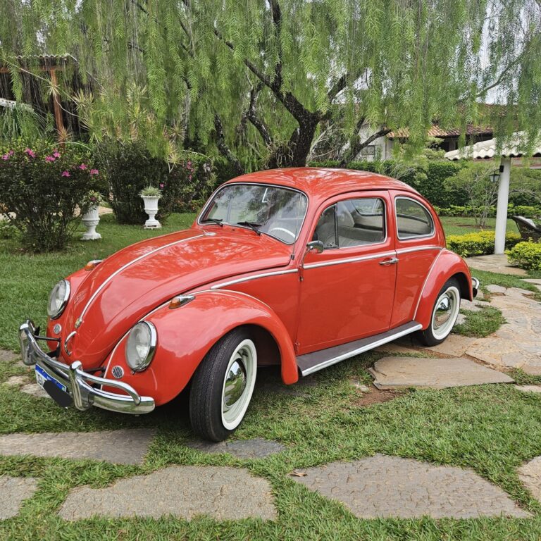 B559 – VW BEETLE 1962