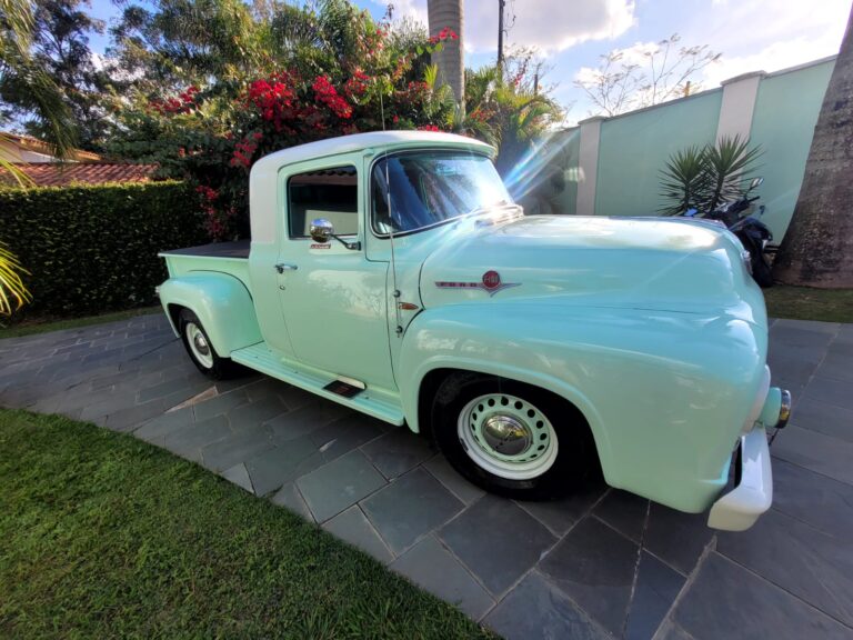 B575 – FORD F100 1962