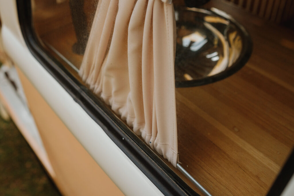 Rose 14