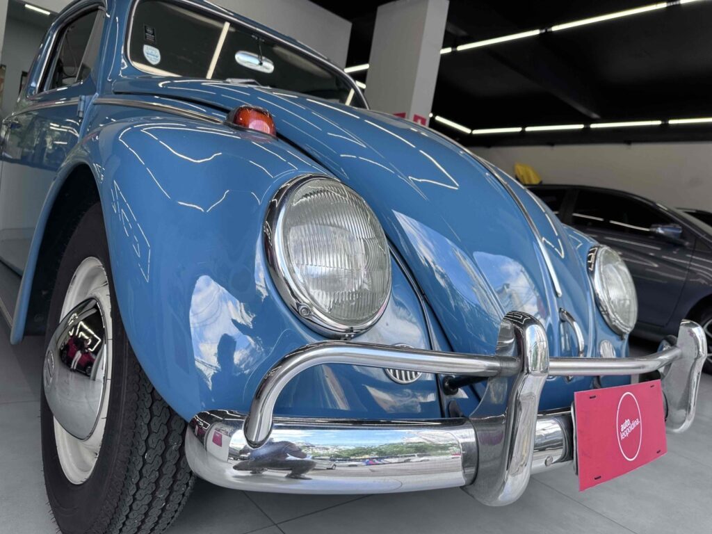 imgi 21 19