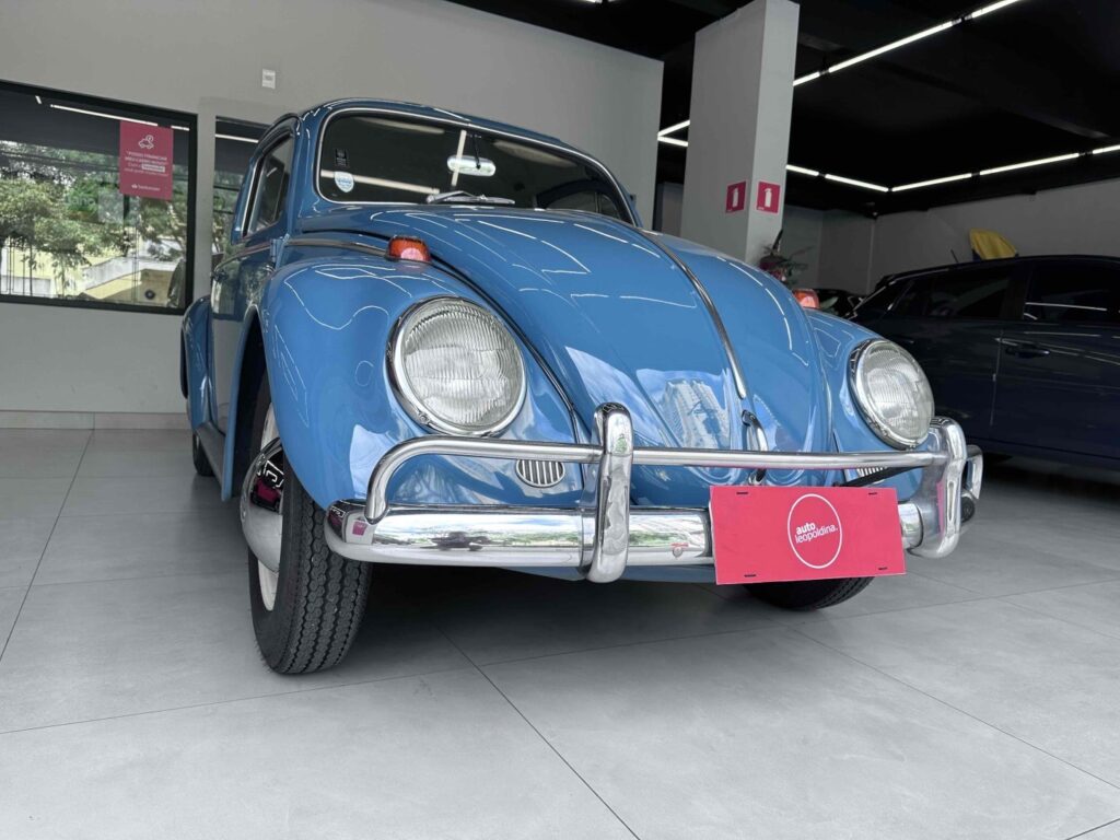imgi 3 1