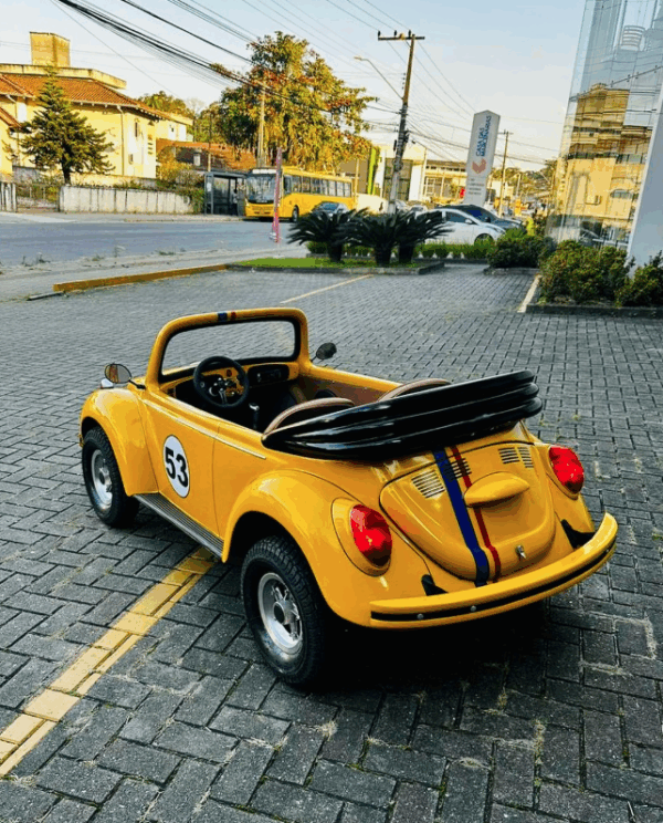 2509. Miniatura fusca original RG01