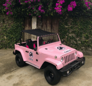 2515. Miniatura Jeep sports RG07