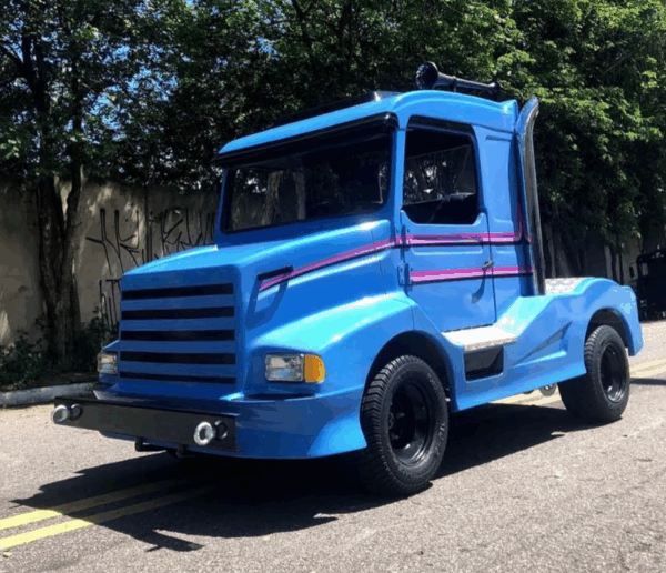 2529 truck bicudinho Mod2