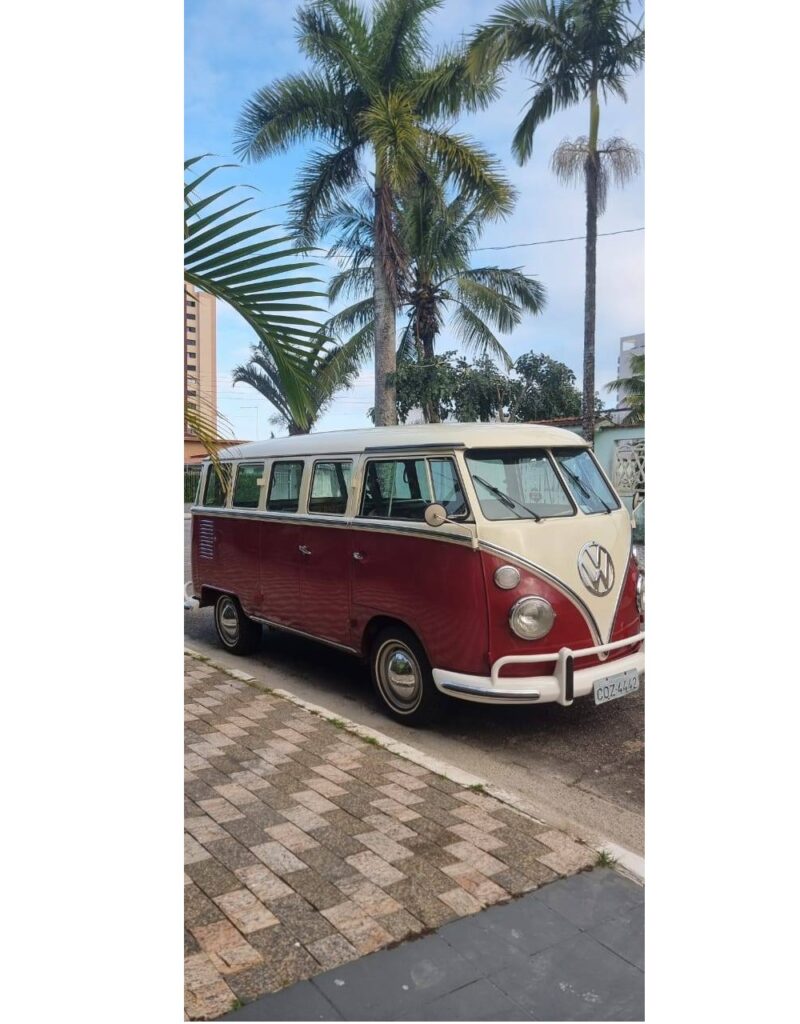 558866971 1870319280589195 3919738014790714416 n